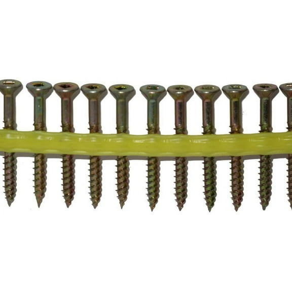 Screw Wsntl 2 2000bx