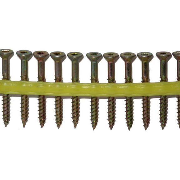 Screw Wsntl 2 2000bx