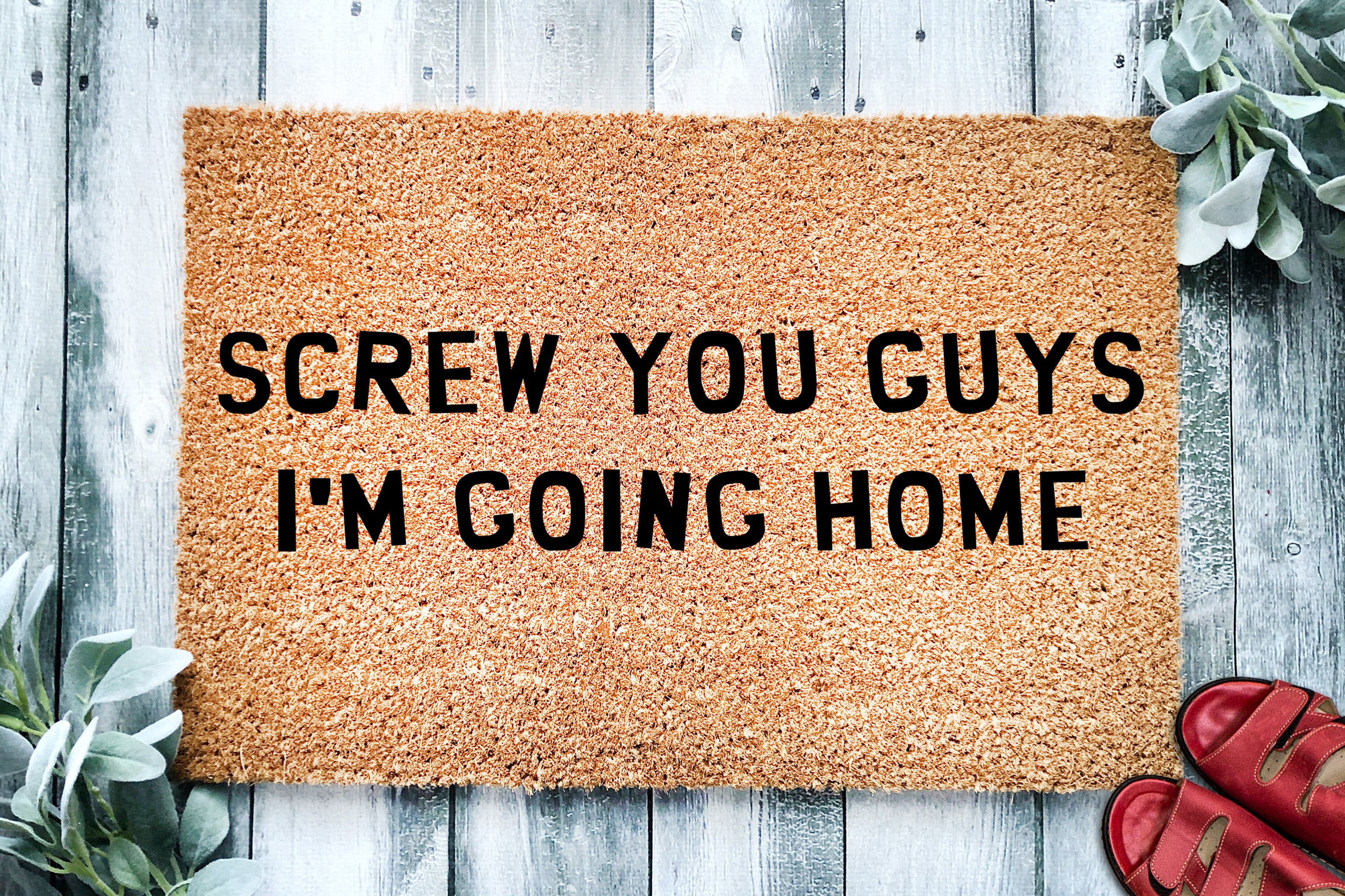 Screw You Guys I'm Going Home Door Mat | Funny Doormat | Funny Cartoon ...