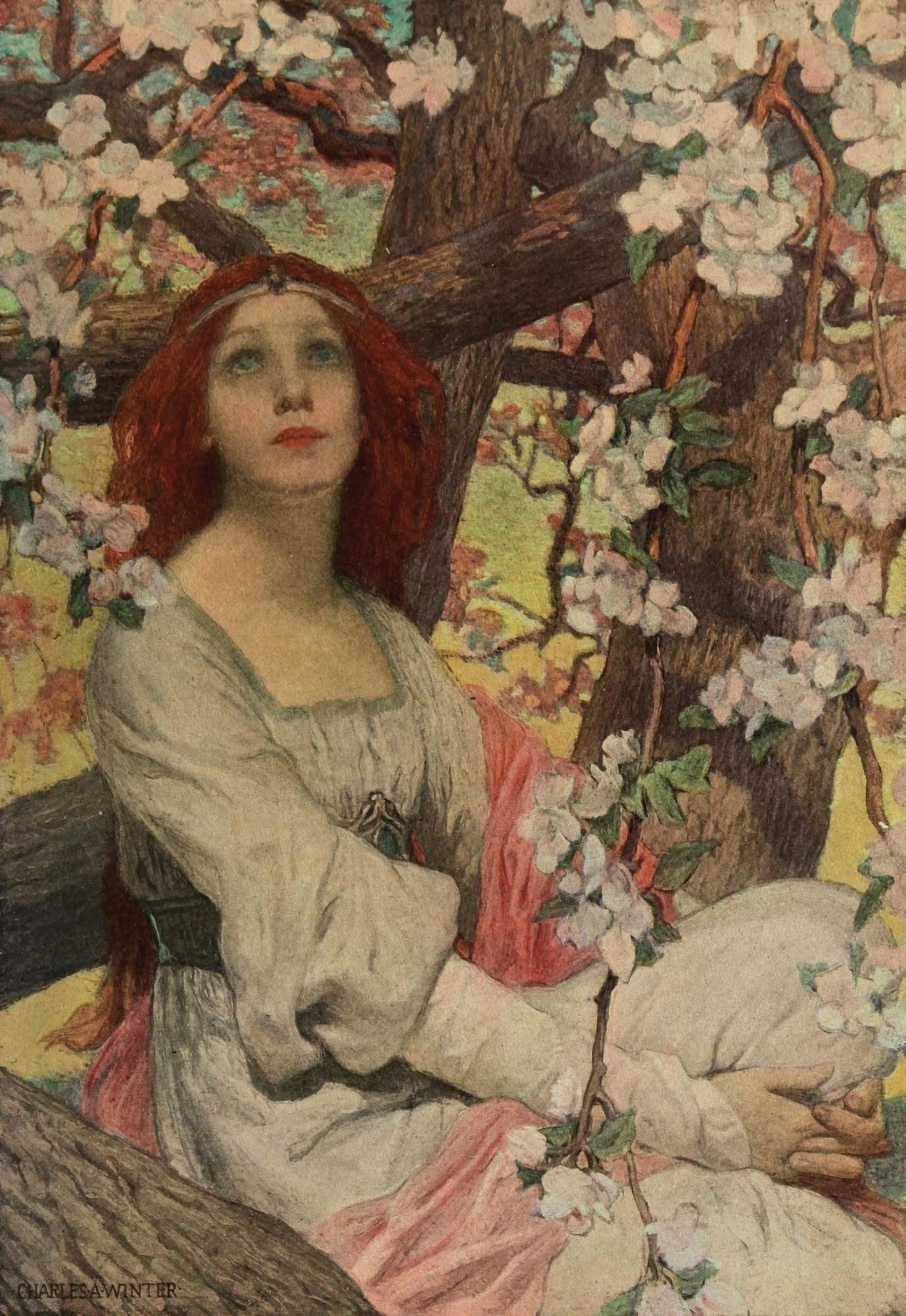 Scribners 47 1910 Girl under blossom tree Canvas Art - Charles A Winter (24 x 36)