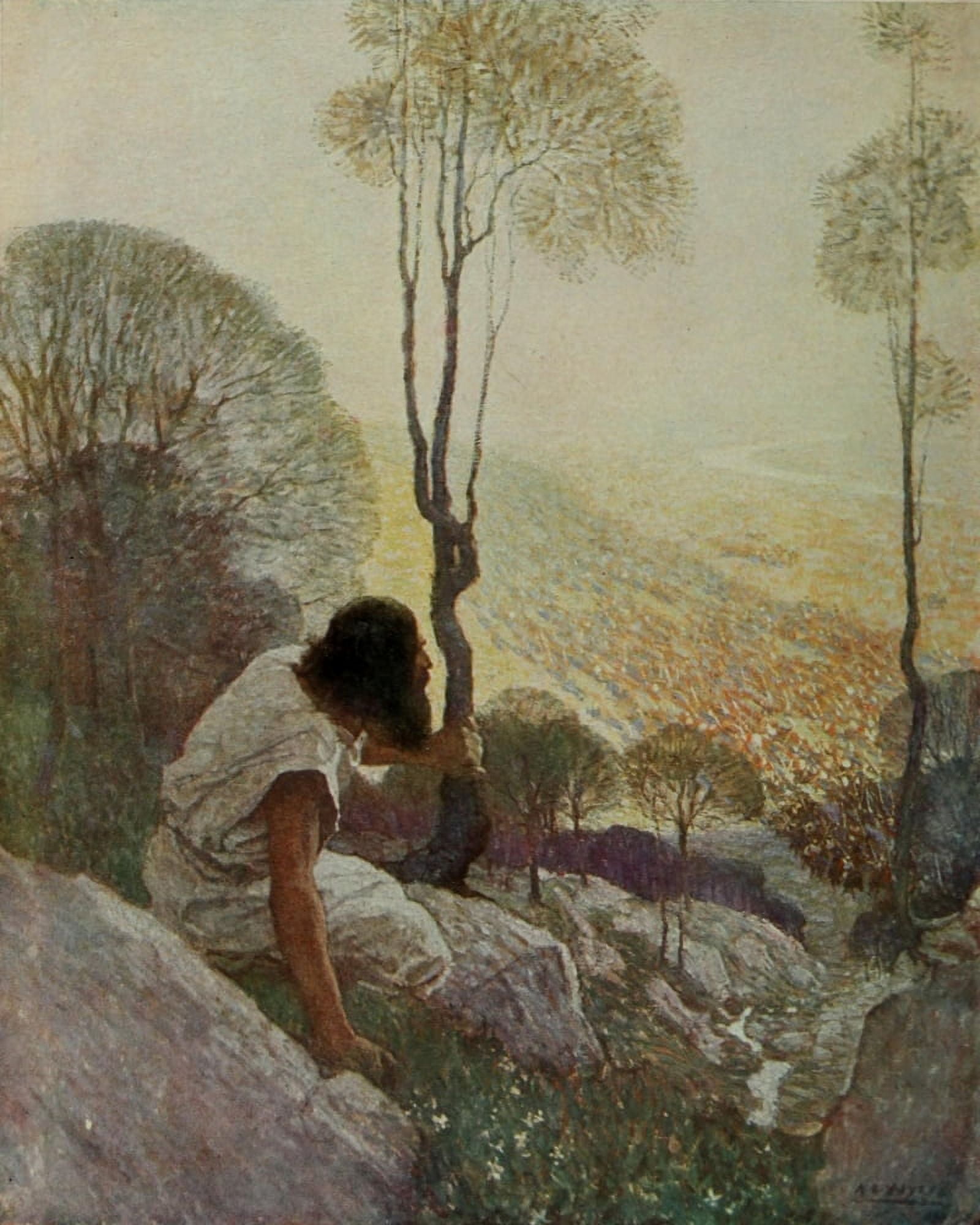 Scribners 48 1910 In the shadow of the rocks Canvas Art - Newell C Wyeth (18 x 24)