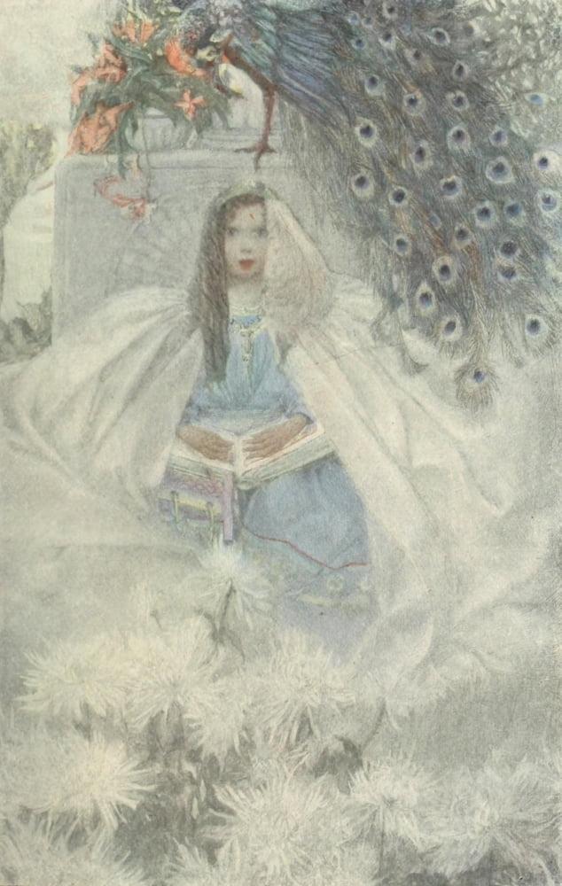 Scribners Magazine 32 1902 Secrets & peacock Canvas Art - Sarah S Stilwell (24 x 36)