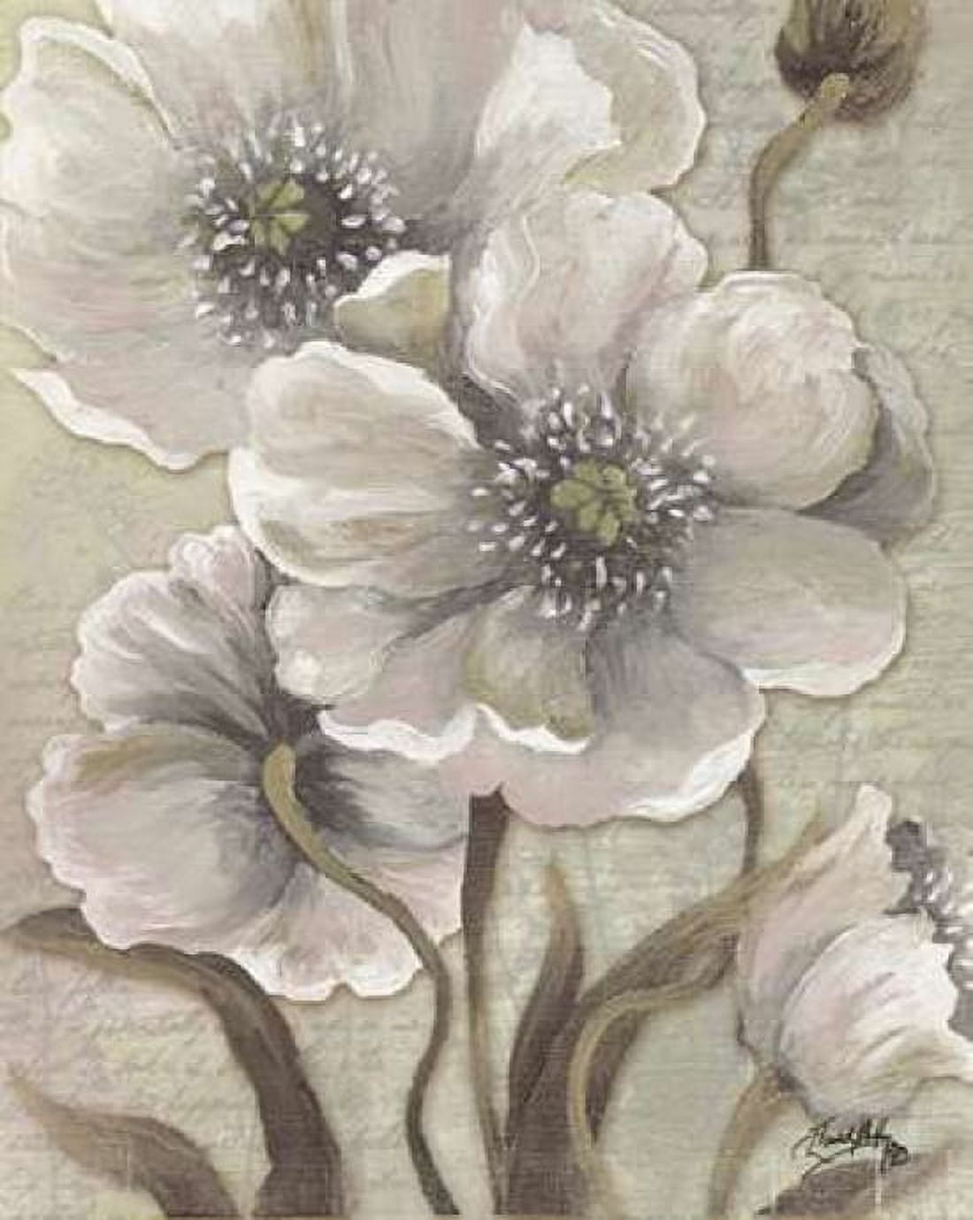 Scripted Beauty I Canvas Art - Elizabeth Medley (20 x 24)