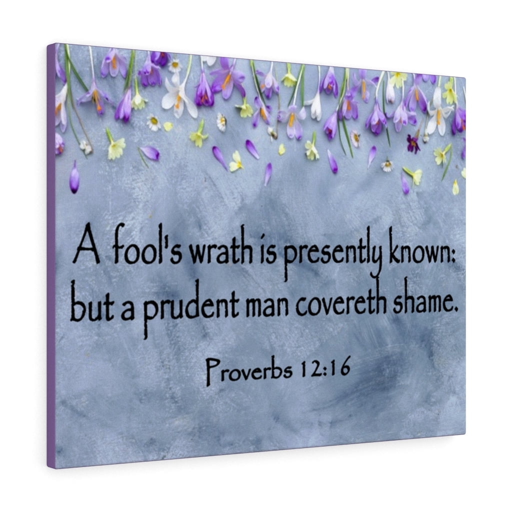 Scripture Walls A Fool's Wrath Proverbs 12:16 Bible Verse Canvas Christian  Wall Art Ready to Hang Unframed - Walmart.com