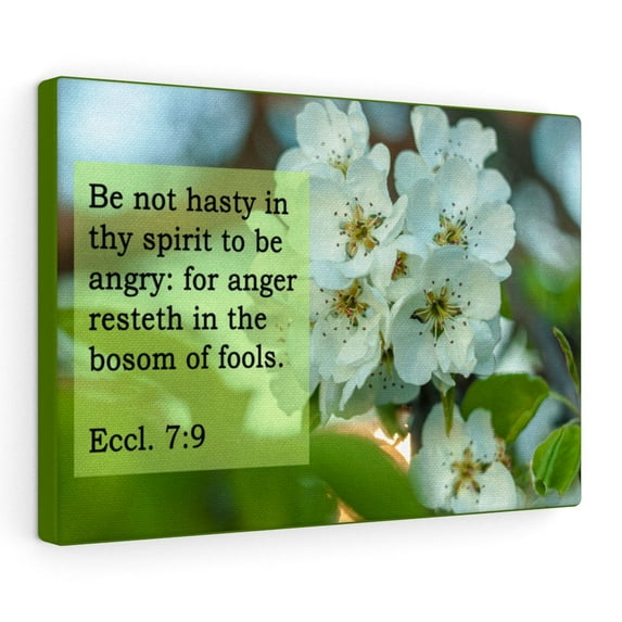 Scripture Walls Be Not Hasty Ecclesiastes 7:9 Bible Verse Canvas Christian Wall Art Ready to Hang Unframed
