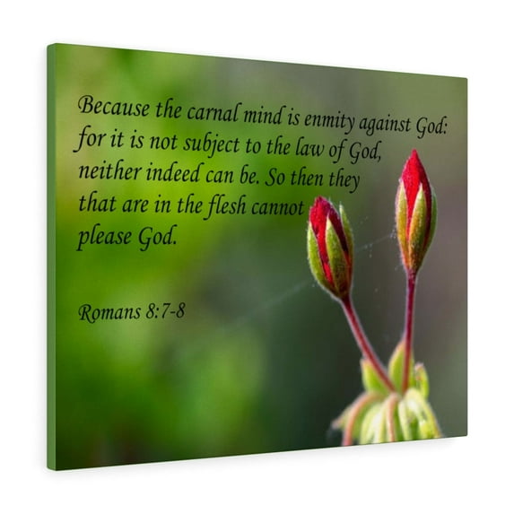 Scripture Walls Carnal Mind Romans 8:7-8 Bible Verse Canvas Christian Wall Art Ready to Hang Unframed