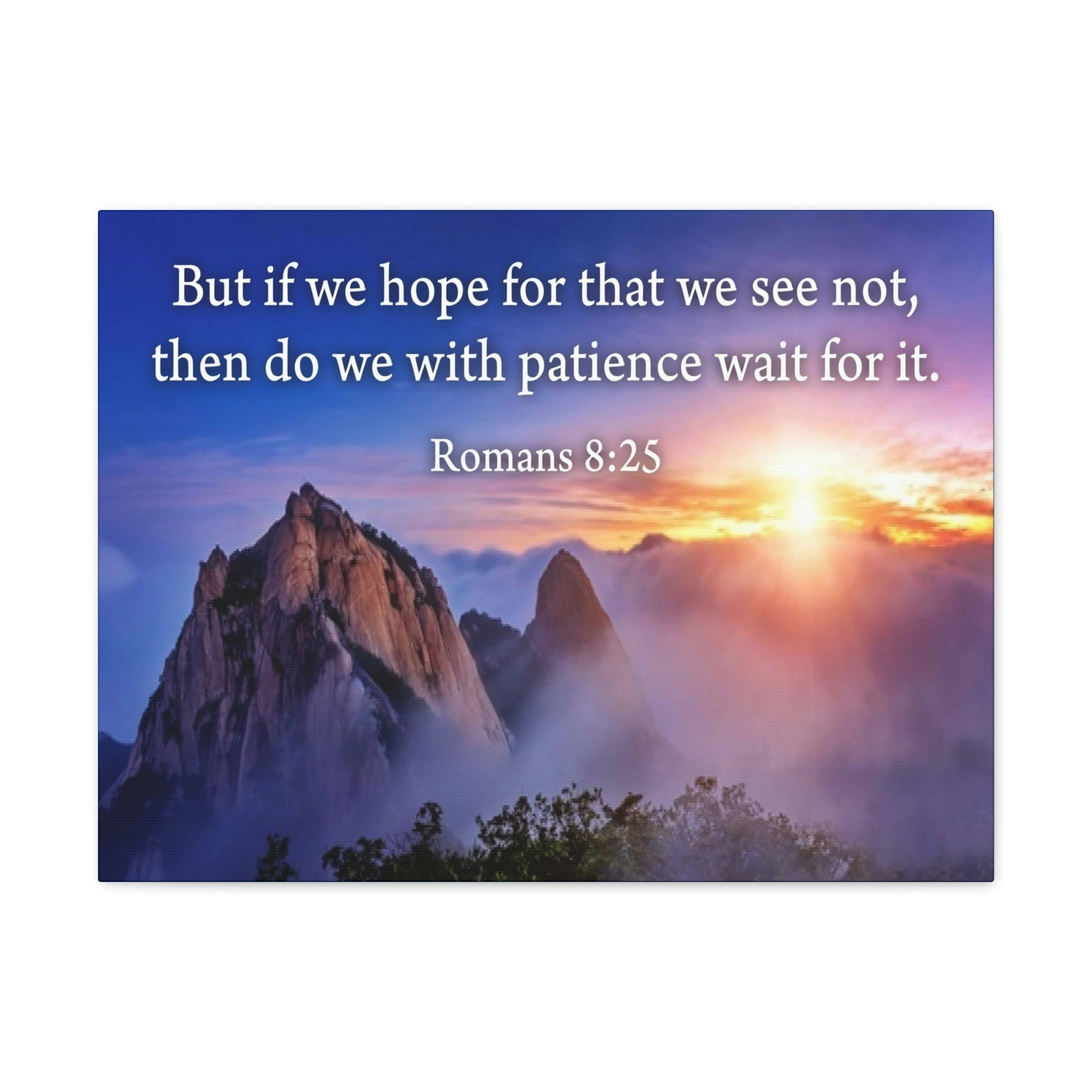 Romans 8 V18 25