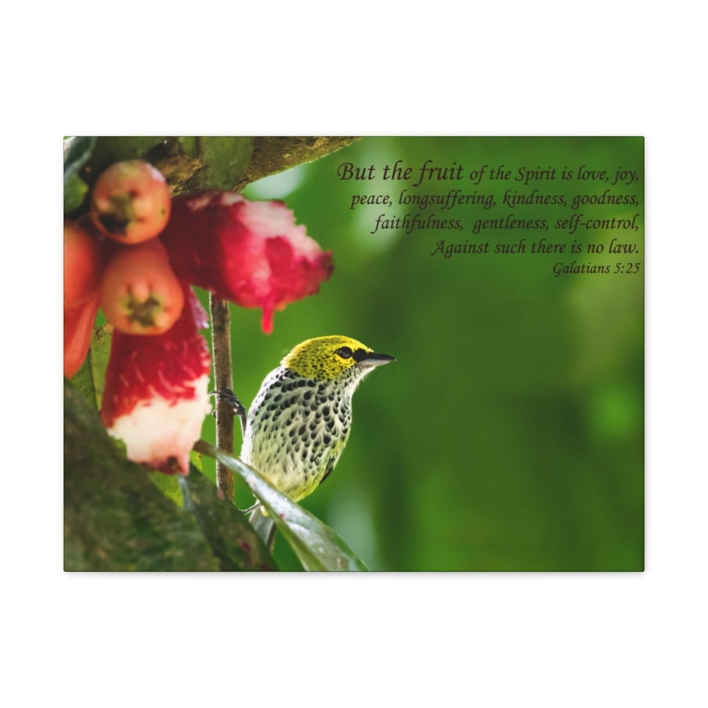 Scripture Walls Fruit Of The Spirit Galatians 5:25 Bible Verse Canvas ...