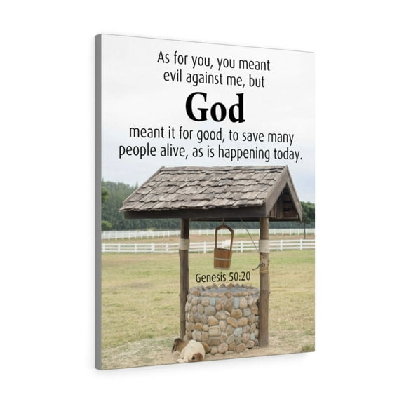 Scripture Walls God Meant It Genesis 50:20 Christian Home Decor Bible Art Unframed