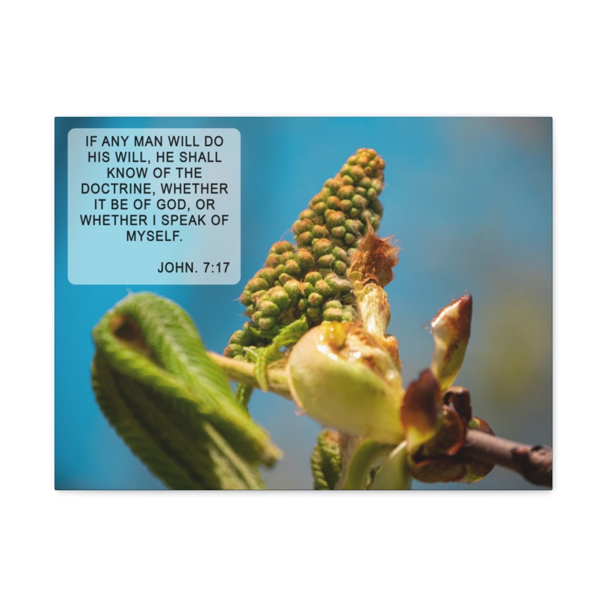 Scripture Walls John 7:17 Do His Will Bible Verse Canvas Christian Wall ...