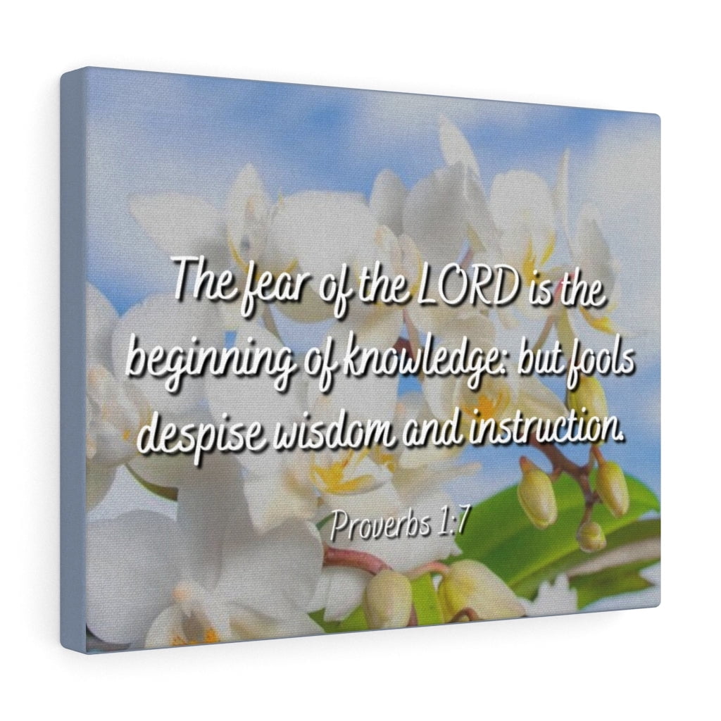 Scripture Walls Proverbs 1:7 Despise Wisdom And Instruction Bible Verse ...
