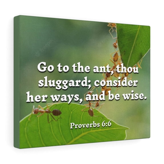 Scripture Walls Proverbs 6:6 Be Wise Bible Verse Canvas Christian Wall Art Ready to Hang Unframed