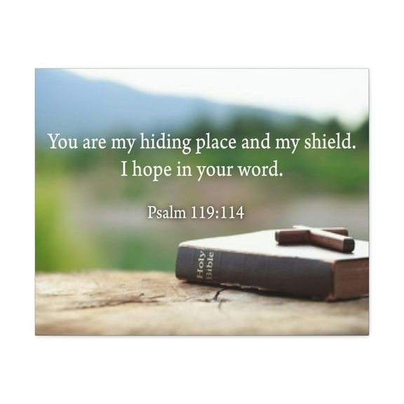 Scripture Walls Psalm 119:114 Hiding Place Bible Verse Canvas Christian Wall Art Ready to Hang Unframed