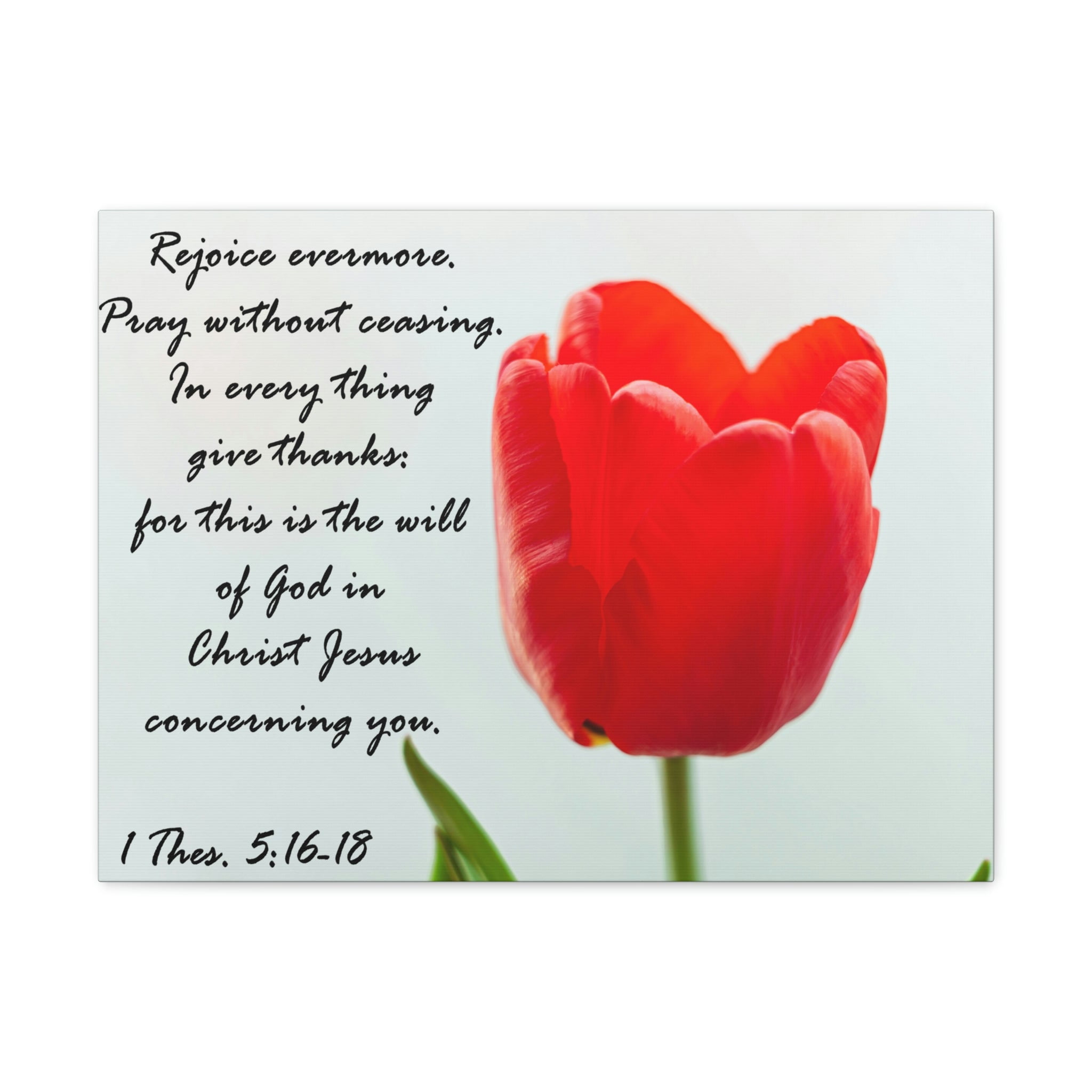 scripture-walls-rejoice-evermore-1-thes-5-17-bible-verse-canvas