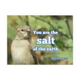 thumbnail image 1 of Scripture Walls  Salt Of The Earth Matthew 5:13 Bible Verse Canvas Christian Wall Art Ready to Hang Unframed, 1 of 17