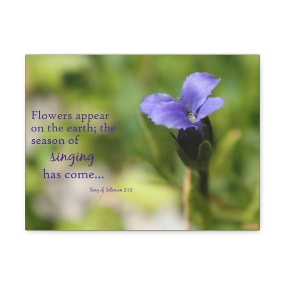 Scripture Walls Season Of Singing Song Of Solomon 2:12 Bible Verse Canvas Christian Wall Art Bible Verse Print Ready To Hang Unframed