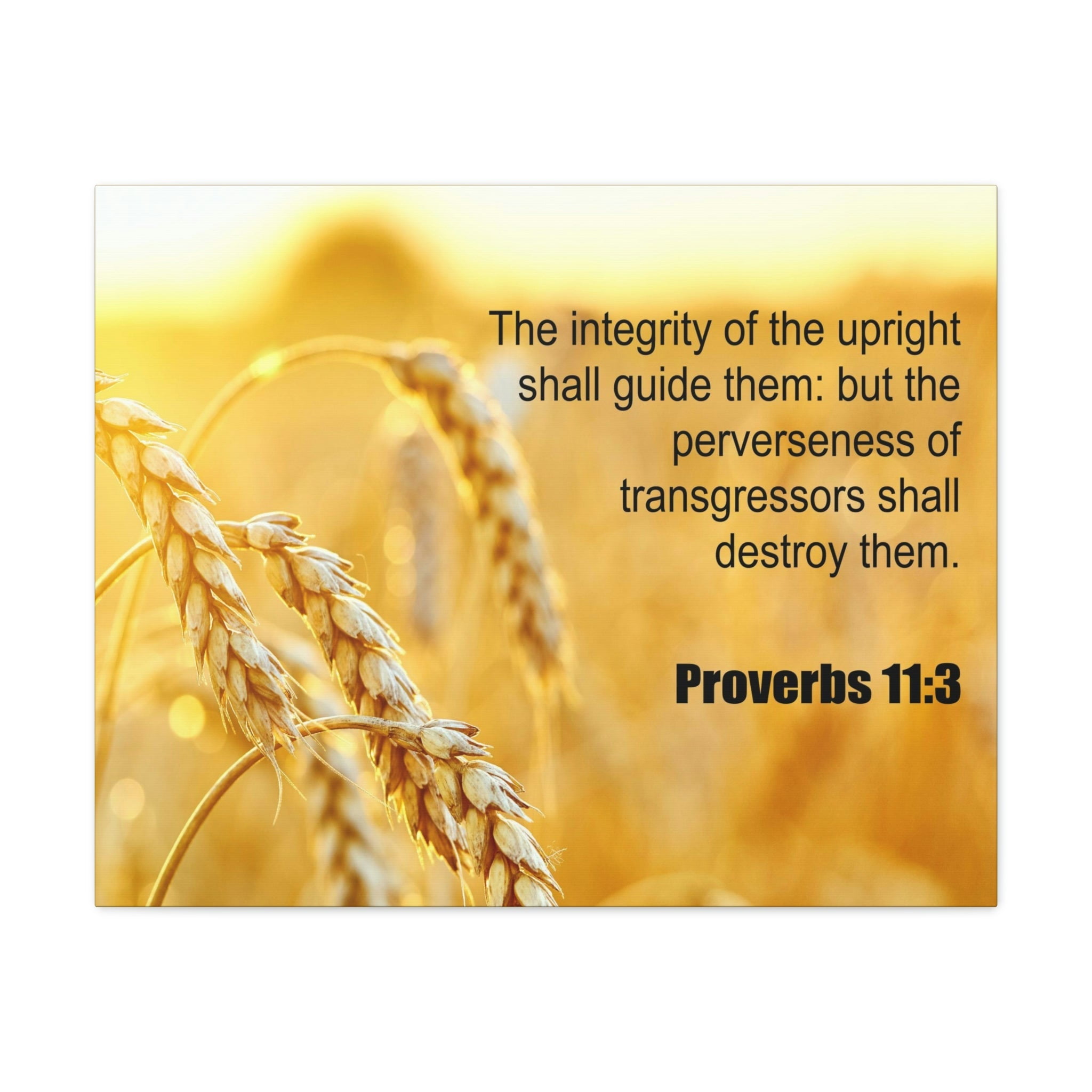 scripture-walls-the-integrity-of-the-upright-proverbs-11-3-bible-verse