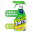 thumbnail image 1 of Fantastik All-Purpose Cleaner, Lemon Scent, 32 Ounce Trigger Bottle, 1 of 12