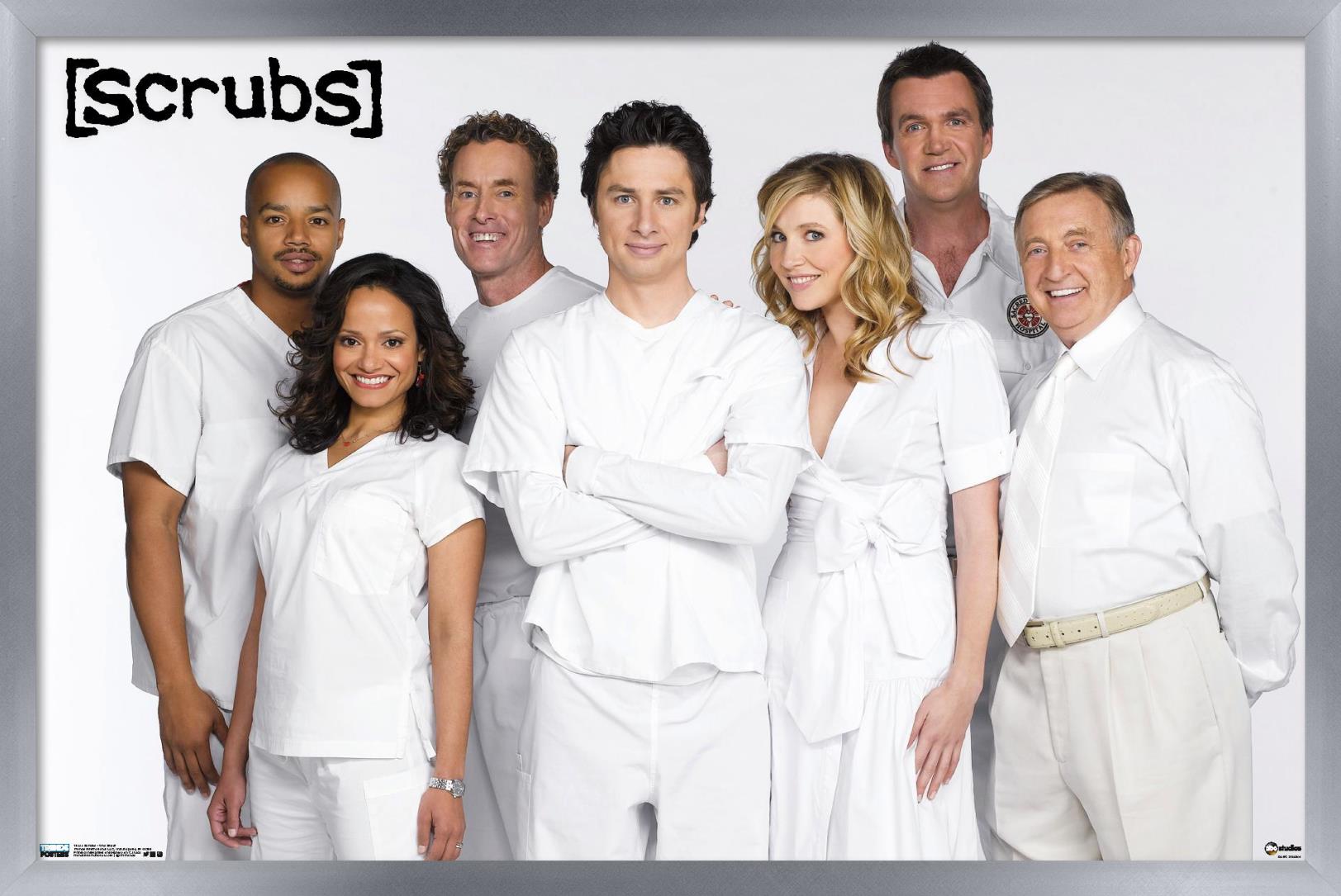 Scrubs - One Sheet Wall Poster, 14.725" x 22.375", Framed