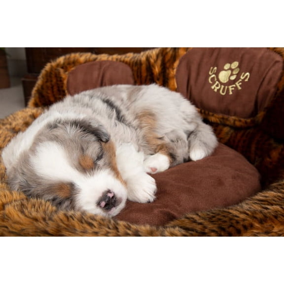 Scruffs Bear Paw Pet Bed, Perfect for Cats and Dogs, Plush Faux Fur w/ Faux Suede Center, Non-Slip Base, Unmatched Cushioning and Insulation, Brown Bear