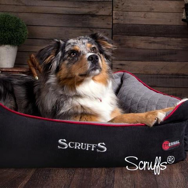 Scruffs® Thermal Box Pet Bed, Perfect for Cats and Dogs, SelfHeating