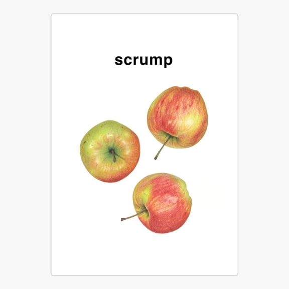 Scrump Er, Phone Decal Water Bottle Stickers Car Decals, Funny Birthday Gift