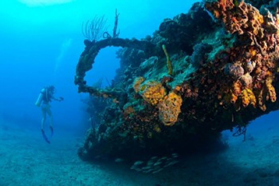 Scuba diver RMS Rhone wreck British Virgin Isl Canvas Art - Stuart Westmorland DanitaDelimont (35 x 23)