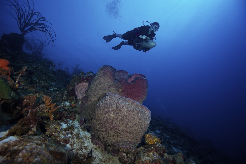 Scuba diver propels above a large barrel sponge Canvas Art - Terry MooreStocktrek Images (35 x 23)
