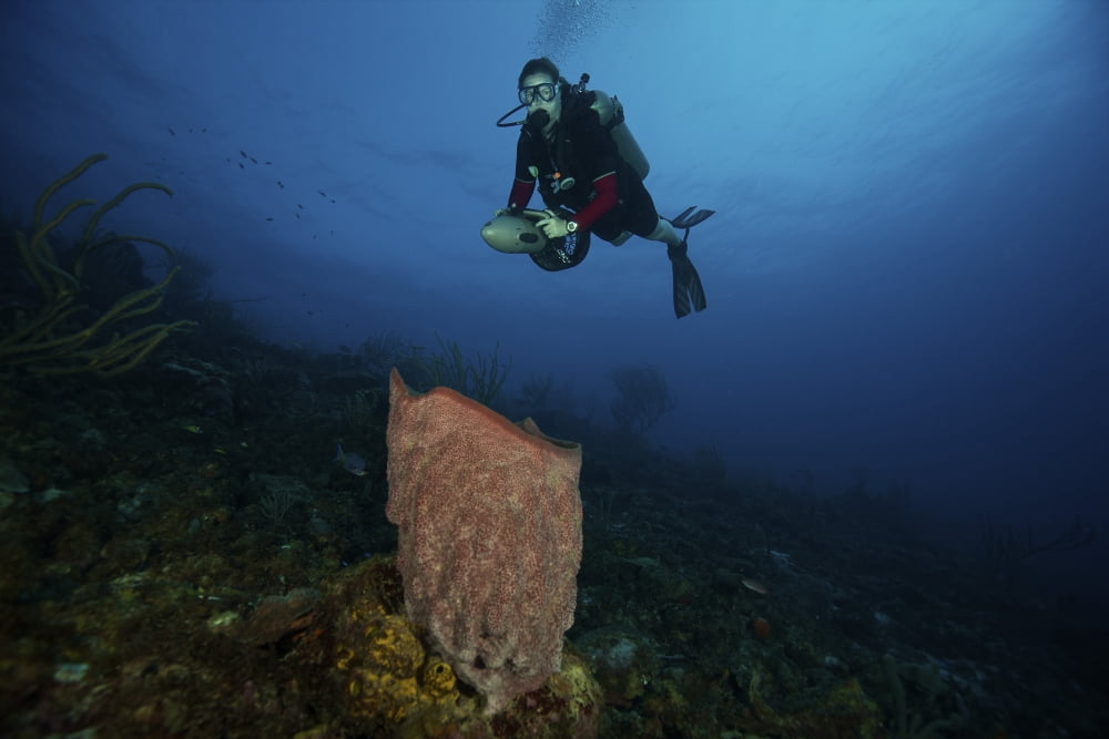 Scuba diver propels above a large vase sponge Canvas Art - Terry MooreStocktrek Images (35 x 23)