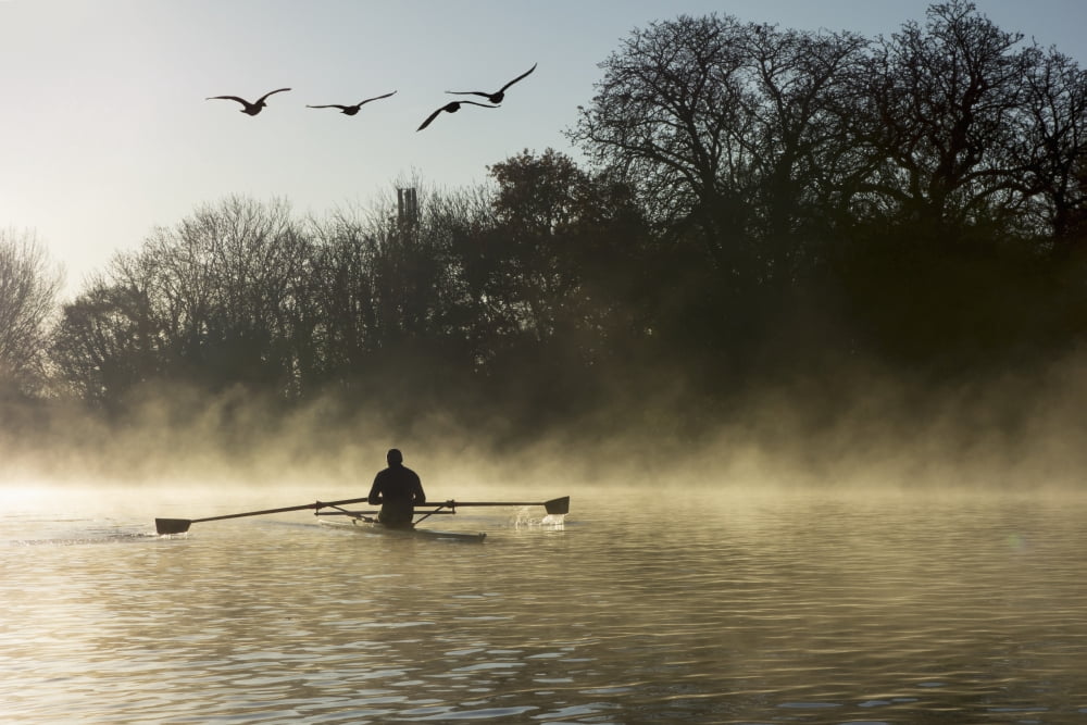 Sculling in mist on River Thames London England Canvas Art - Charles Bowman Design Pics (19 x 12)