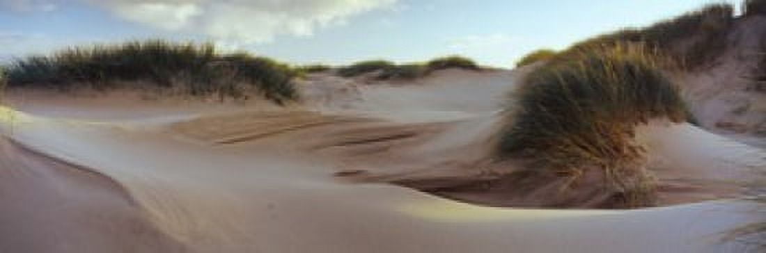 Sculpted dunes at the Sands of Forvie Newburgh Aberdeenshire Scotland Canvas Art - Panoramic Images (36 x 12)