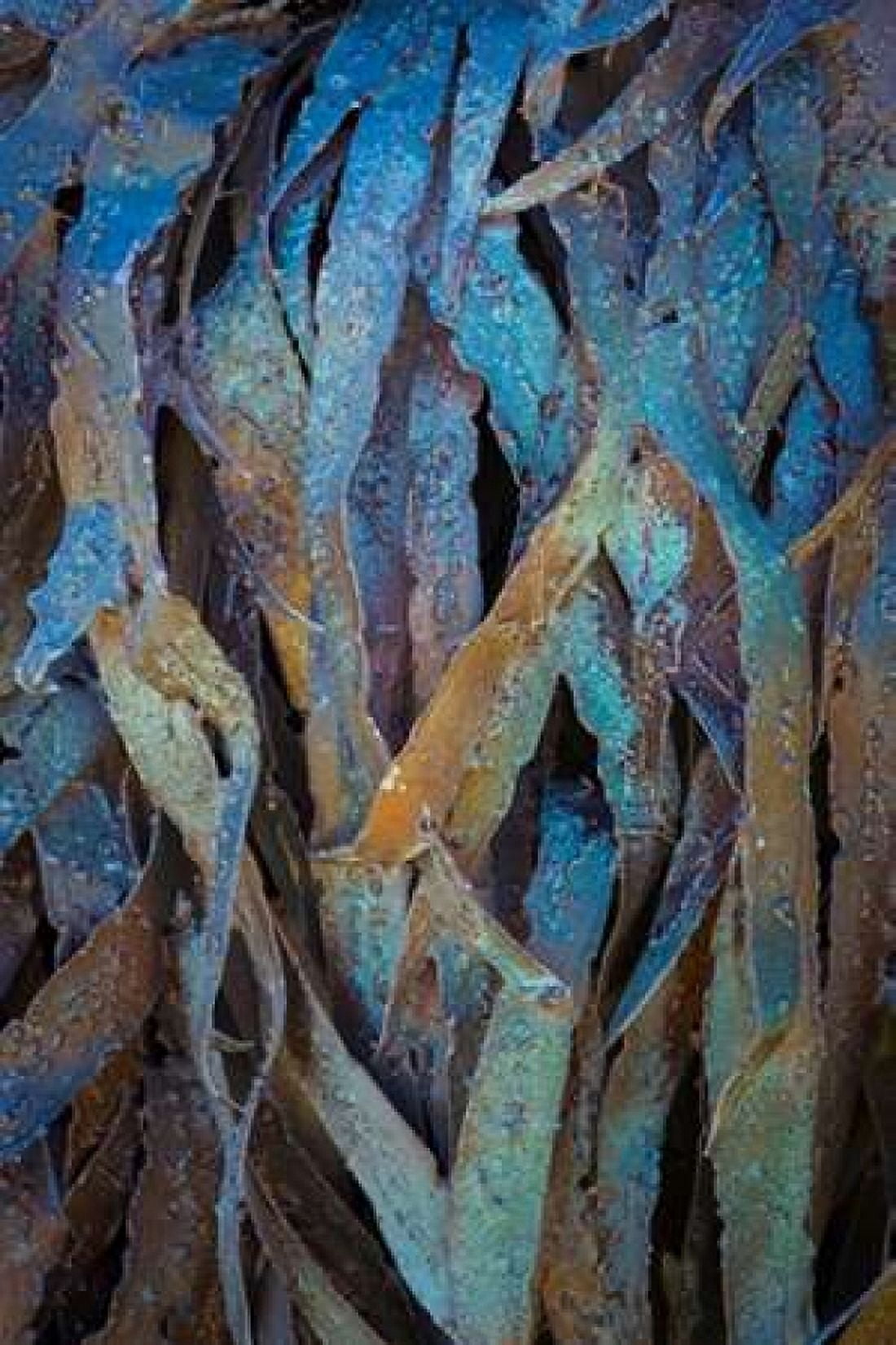Sculptural Metal V Canvas Art - Kathy Mahan (12 x 18)