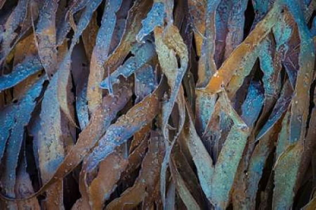 Sculptural Metal VII Canvas Art - Kathy Mahan (12 x 18)
