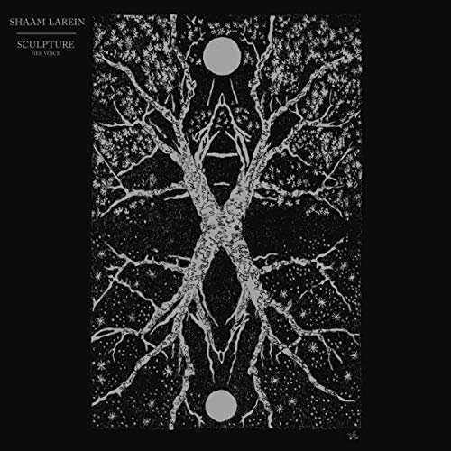 Shaam Larein - Sculpture [CD]