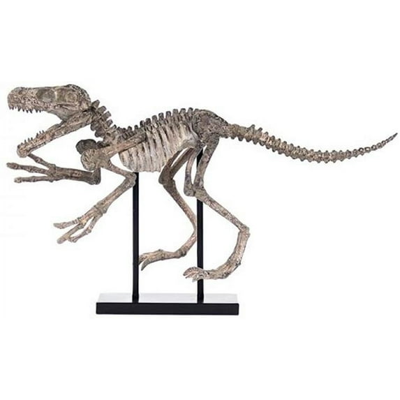 Sculpture Statue Velociraptor Skeleton Dinosaur Polyresin New With Base ZT-1705