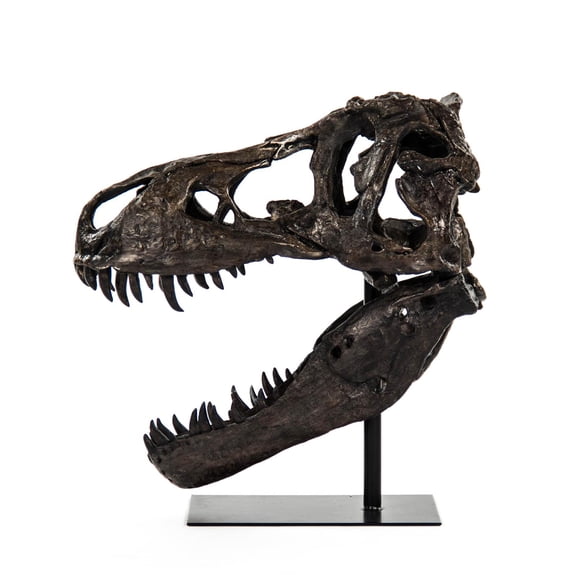 Polyresin T-Rex Skull Statue | Dinosaur Sculpture with Base