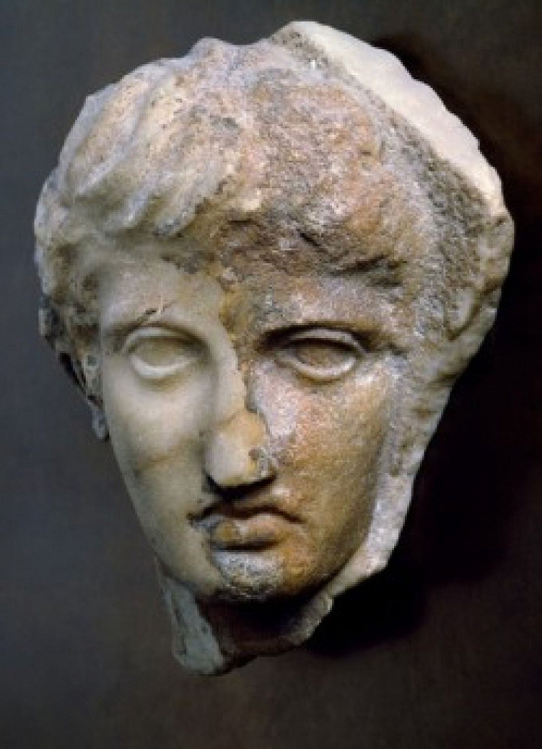 Sculpture of Head Canvas Art -  (18 x 24)