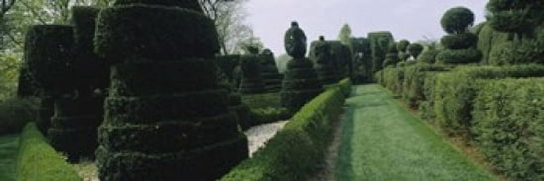 Sculptures formed from trees and plants in a garden Ladew Topiary Gardens Monkton Baltimore County Maryland USA Canvas Art - Panoramic Images (18 x 6)
