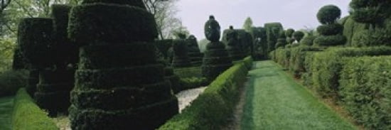 Sculptures formed from trees and plants in a garden Ladew Topiary Gardens Monkton Baltimore County Maryland USA Canvas Art - Panoramic Images (36 x 12)