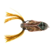 Scum Frog 1/2 oz Painted Trophy Series, Crazy Cicada, Top Water Hollow Body Frog Lure