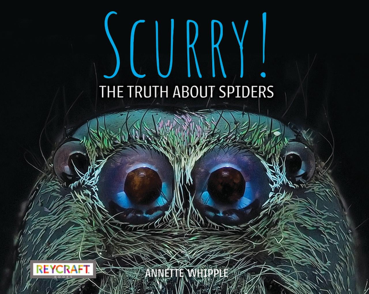 Scurry: The Truth about Spiders - by Annette Whipple (Paperback)