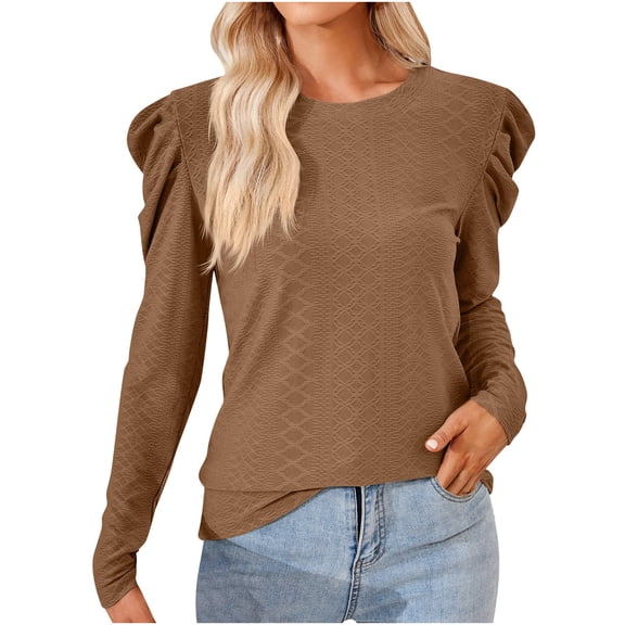 Scyoekwg Womens Tops Crew Neck Elegant Shirts Solid Color Dressy Casual Blouses Fall Tops Trendy Loose Long Sleeve T Shirts Lightweight Pullover (Coffee,XXL)
