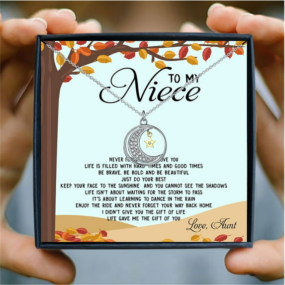 Sdmnsg-T I Love You to the Moon Necklace Christmas Jewelry Birthday Gifts Daughter 925 Sterling Silver To My Niece Necklace