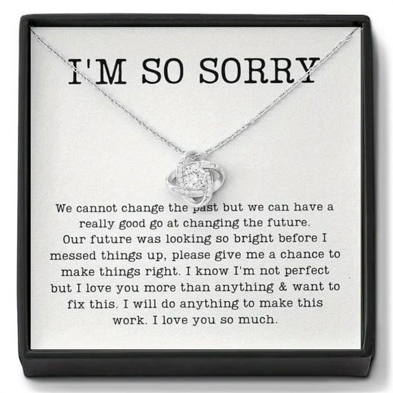 Sdmnsg-T I'm Sorry Necklace For Her, Im Sorry Neckace Gift, Apology Necklace For Her Women, Forgive Me Gifts For Her, I'm Sorry For Hurting You Neckace, Apologize Gift For Wife Girlfriend Soulmate