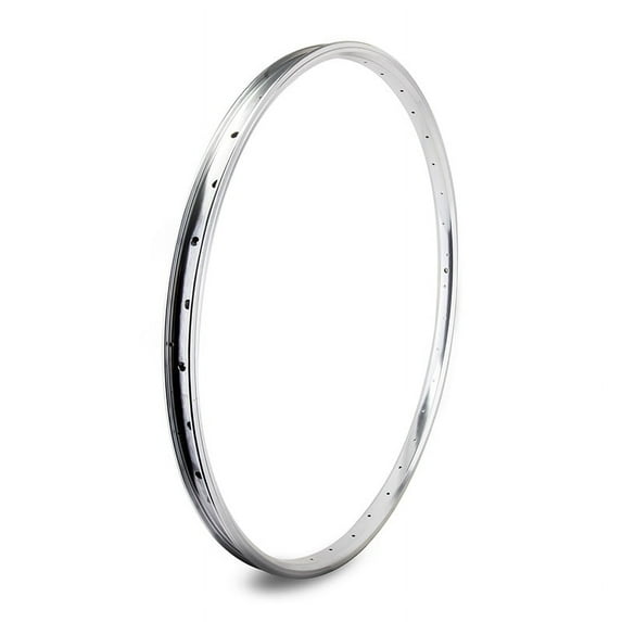 Se Bikes J24SG SE Bikes 29in J24SG Silver 36