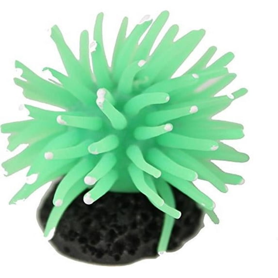 SEA ANEMONE