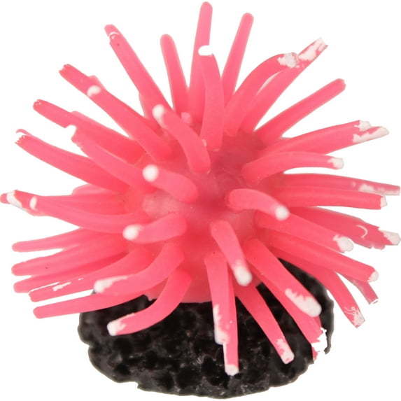 Sea Anenome Pink Small
