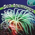 thumbnail image 1 of Pre-Owned Sea Anemones (Under the Sea) Paperback, 1 of 1