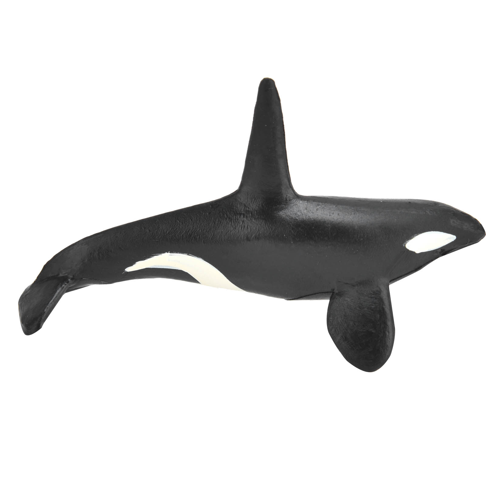 Sea Animal Figures Model Highly Simulation Educational Learning Desktop