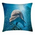 thumbnail image 1 of Sea Animals Decor Throw Pillow Cushion Cover, A Bottlenose Dolphin in Ocean Fish Sunlight in Marine Natural Underwater, Decorative Square Accent Pillow Case, 20 X 20 Inches, Blue Grey, by Ambesonne, 1 of 2